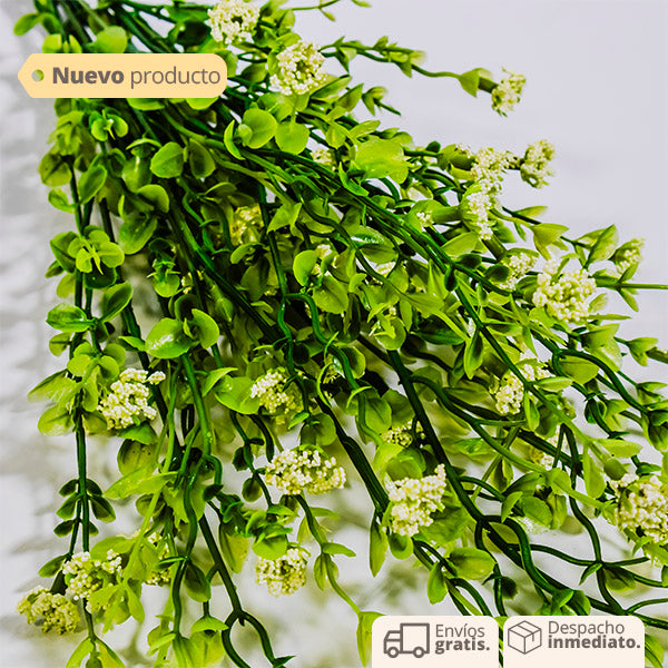 Flores Green