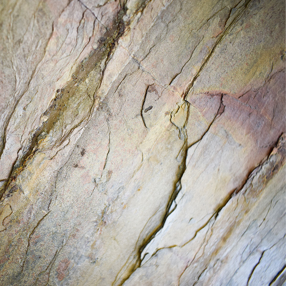 Pared Piedra 2013 (Lámina)