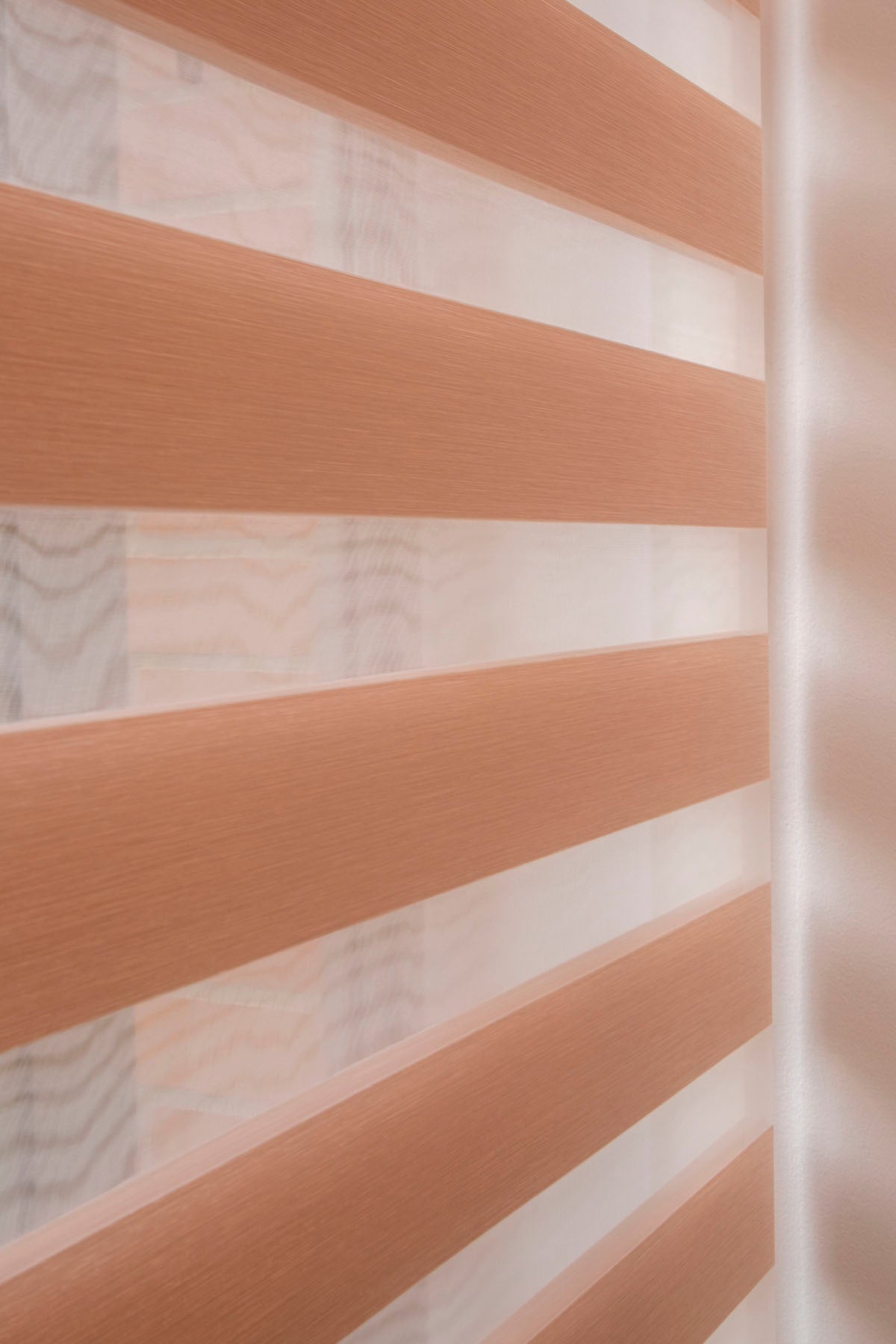 PERSIANAS DOBLE FUNCION CANDY SHADE