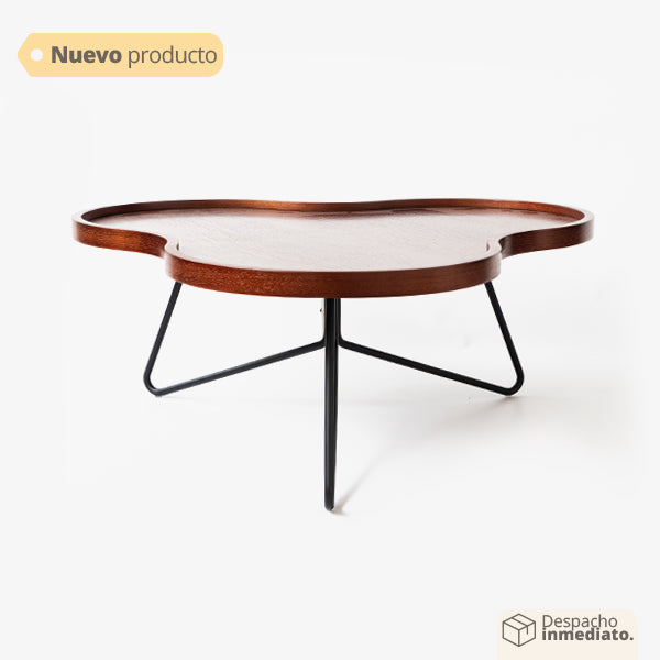 Mesa Centro Sinegal
