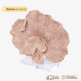 Escultura Gold Ocean