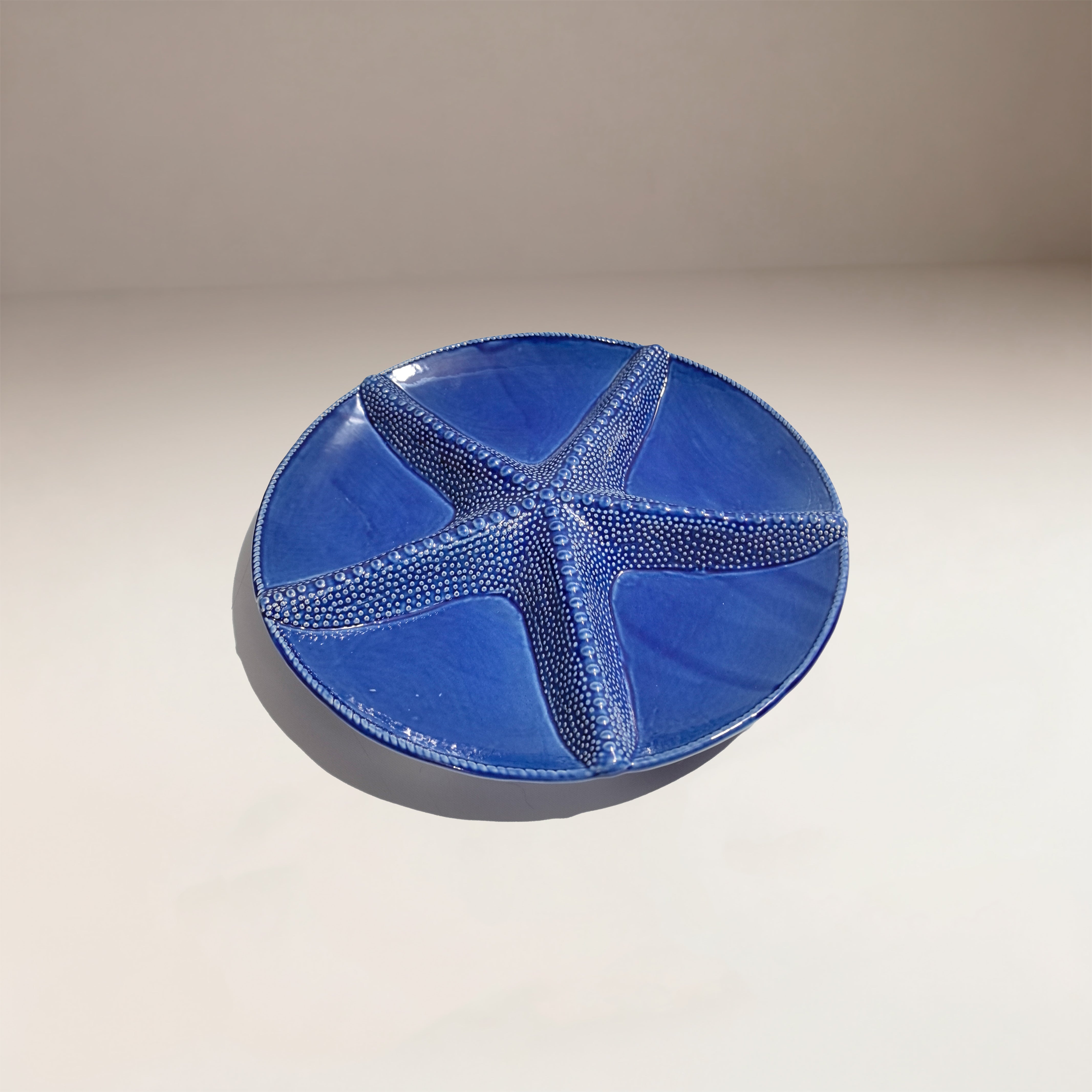 Bandeja Blue Fish Tray