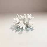 Escultura Sea Decor