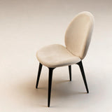 Silla Aneshia