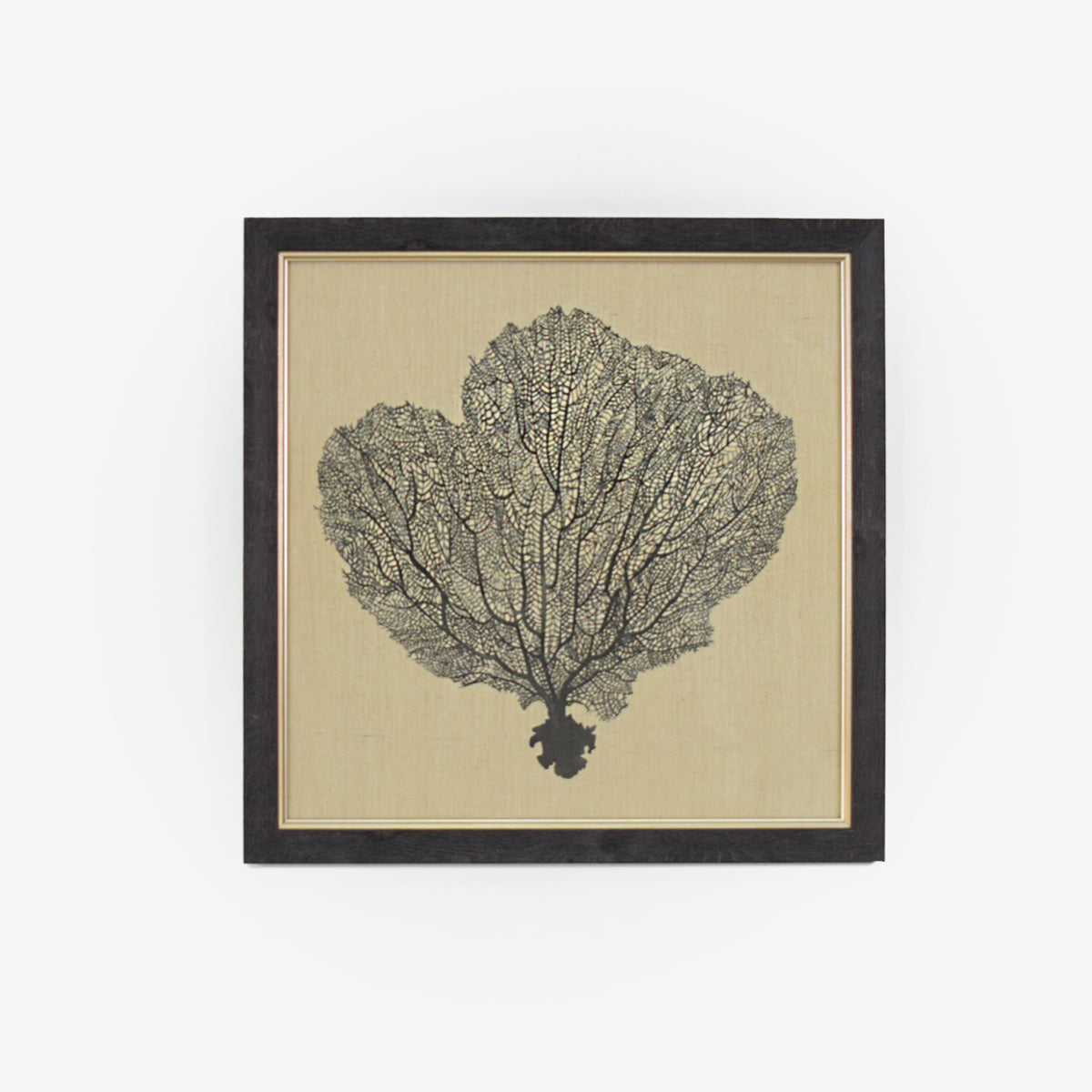 Cuadro Set x 4 Drift Wood Wall Art