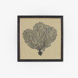 Cuadro Set x 4 Drift Wood Wall Art