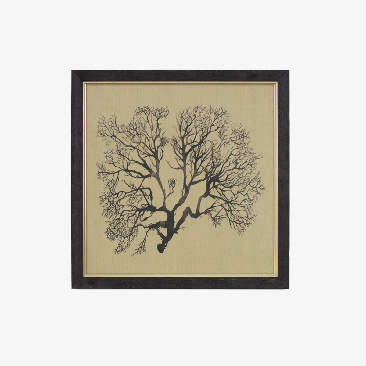 Cuadro Set x 4 Drift Wood Wall Art