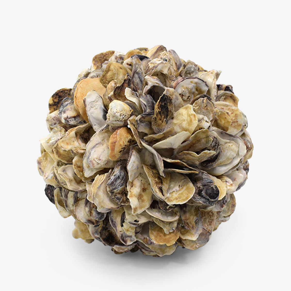Concha Sphere Decor