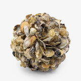 Concha Sphere Decor