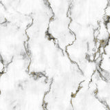 Papel de Colgadura Valentino 660123 (Rollo)