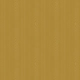 Papel de Colgadura AMARTI 9C010502 (Rollo)