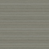 Papel de Colgadura AMARTI 9E020309 (Rollo)