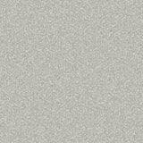 Papel de Colgadura Valentino B99924707 (Rollo Doble )