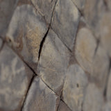 Pared Coco 406 (Lámina)