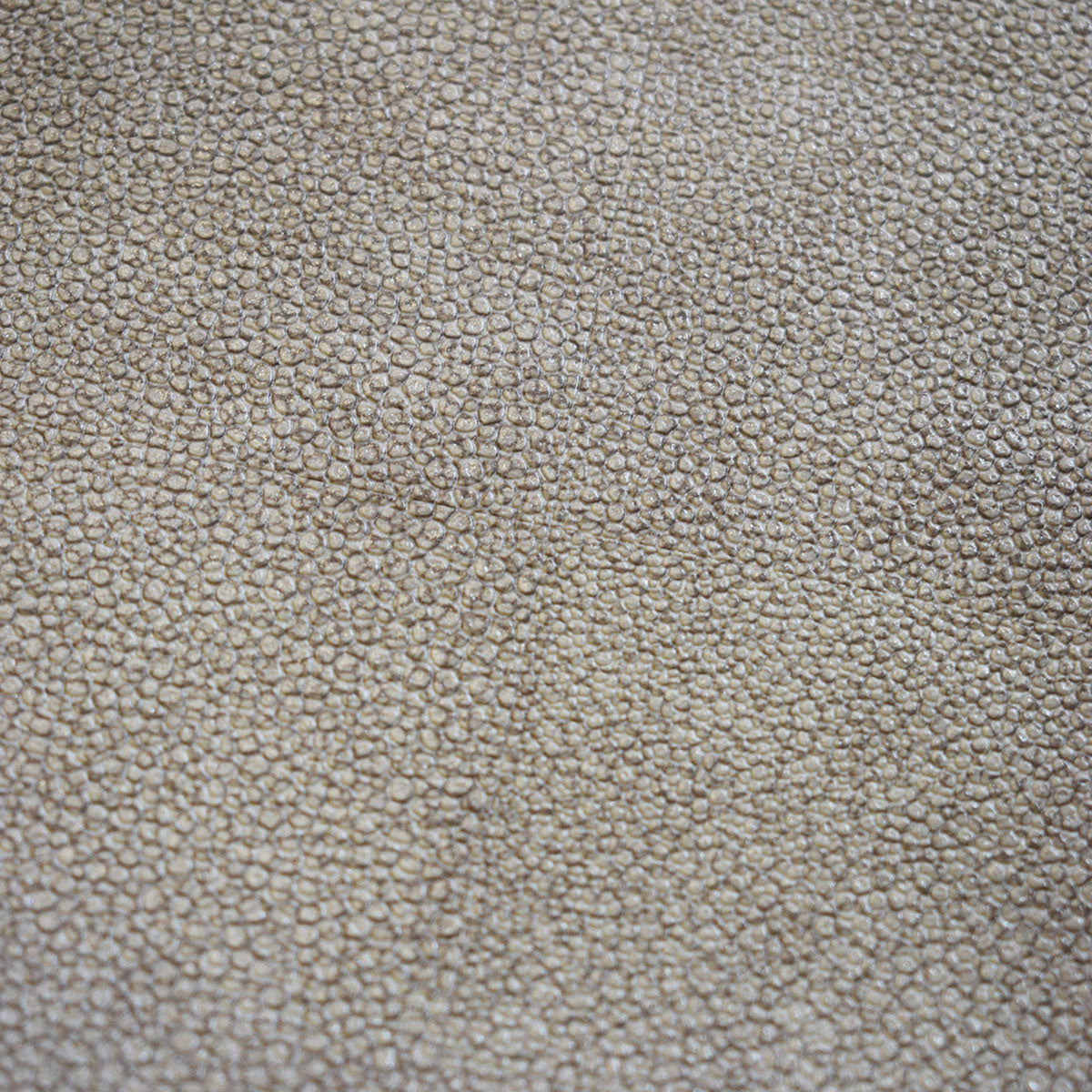 Papel de Colgadura AMARTI 9E030301 (Rollo)