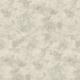 En Vertihome te ofrecemos un nuevo diseño de papeles de colgadura llamado Salvajes  ofreciéndote una gran variedad de imágenes, texturas, colores, tamaños.  para que  tus ambientes tus espacios, habitaciones, salas, comedores, áreas comunes, mantengan  la elegancia, exclusividad, innovación, colecciones  de temporada.