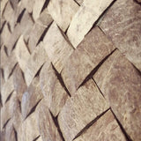 Pared Coco 402 (Lámina)